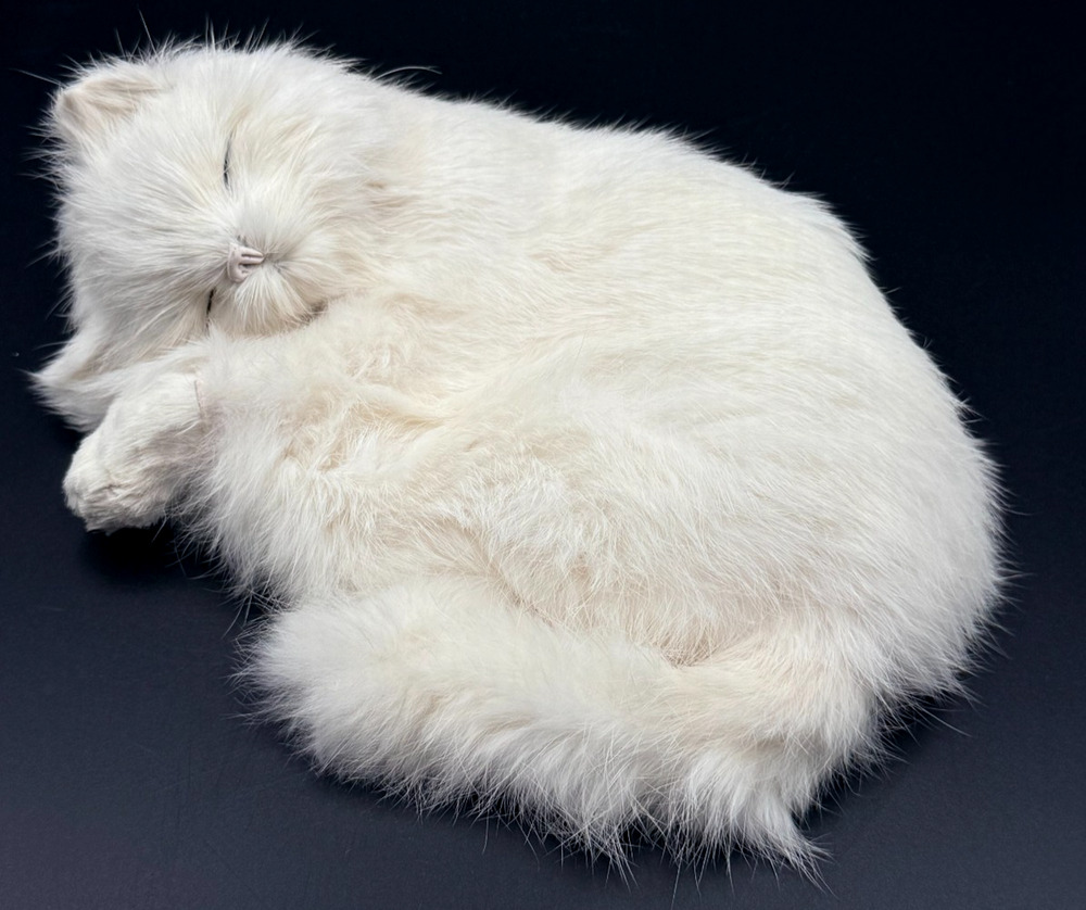 Lifelike All White Sleeping Cat Kitten Figurine Realistic Curled Up Rabbit Fur